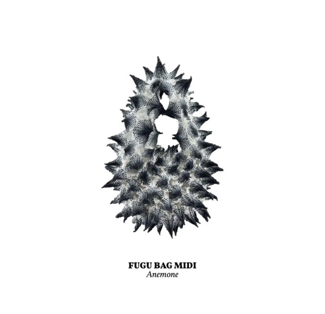 FUGU MIDI ANEMONE