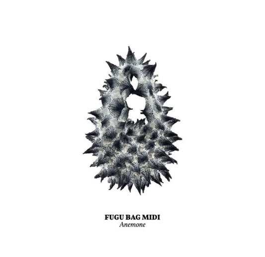 FUGU MIDI ANEMONE