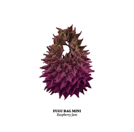 FUGU MINI RASPBERRY JAM
